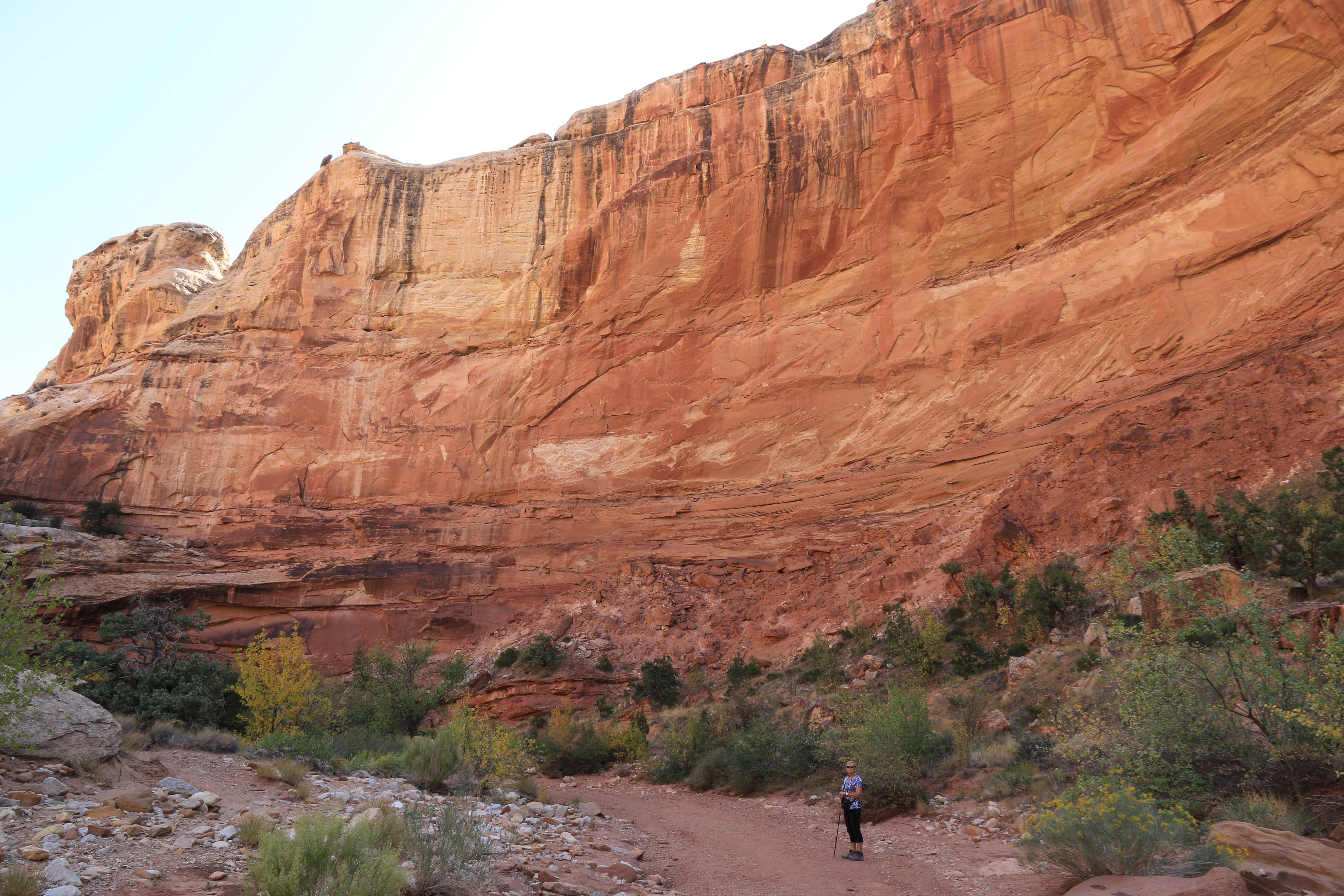 Capitol Reef NP